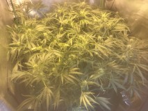 932385D8-4E85-4160-A3C1-B952C8E20034