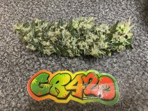 B6306D5D-F626-4F02-B745-904C473B13A0