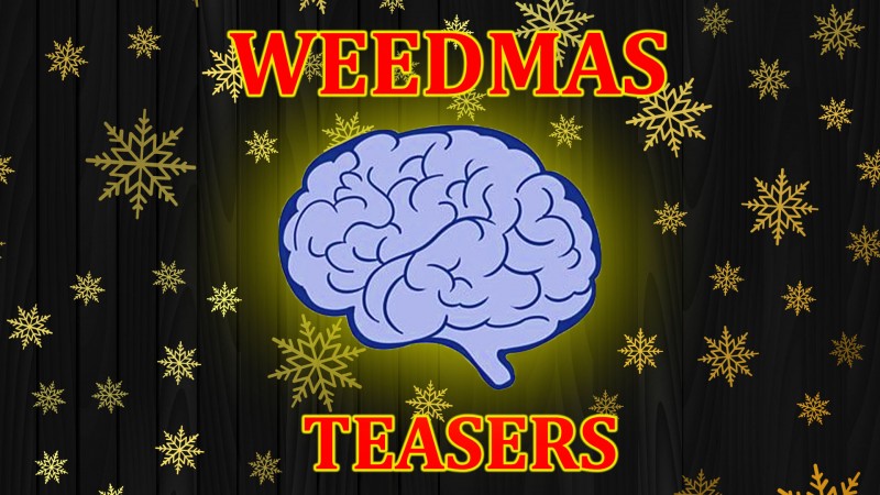 mn brain teaser front