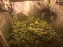 BDE4C633-DAB4-4E7C-B9D3-BBC1FD05AAC6