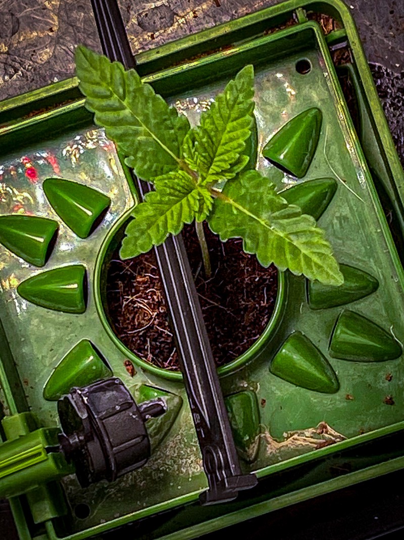 707DB833-4A43-4F80-B3FA-4A902E7D2D75