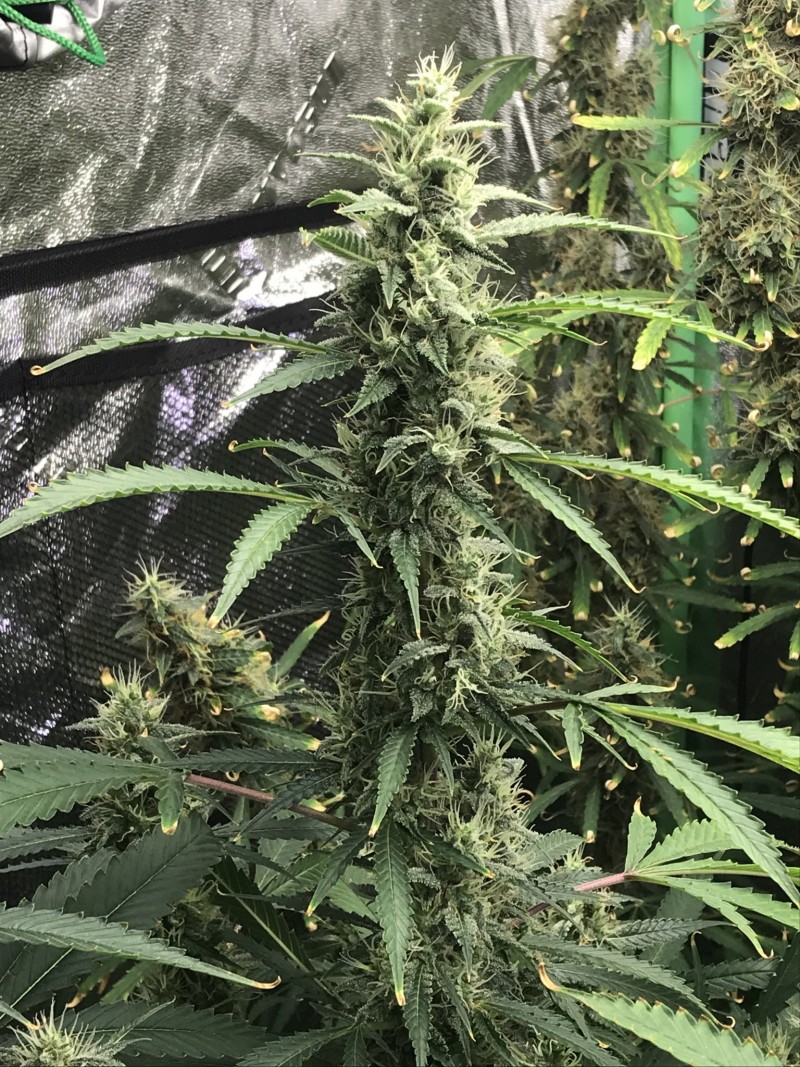 CD901F6B-DDBC-4B02-9A01-2F3192EFEC78