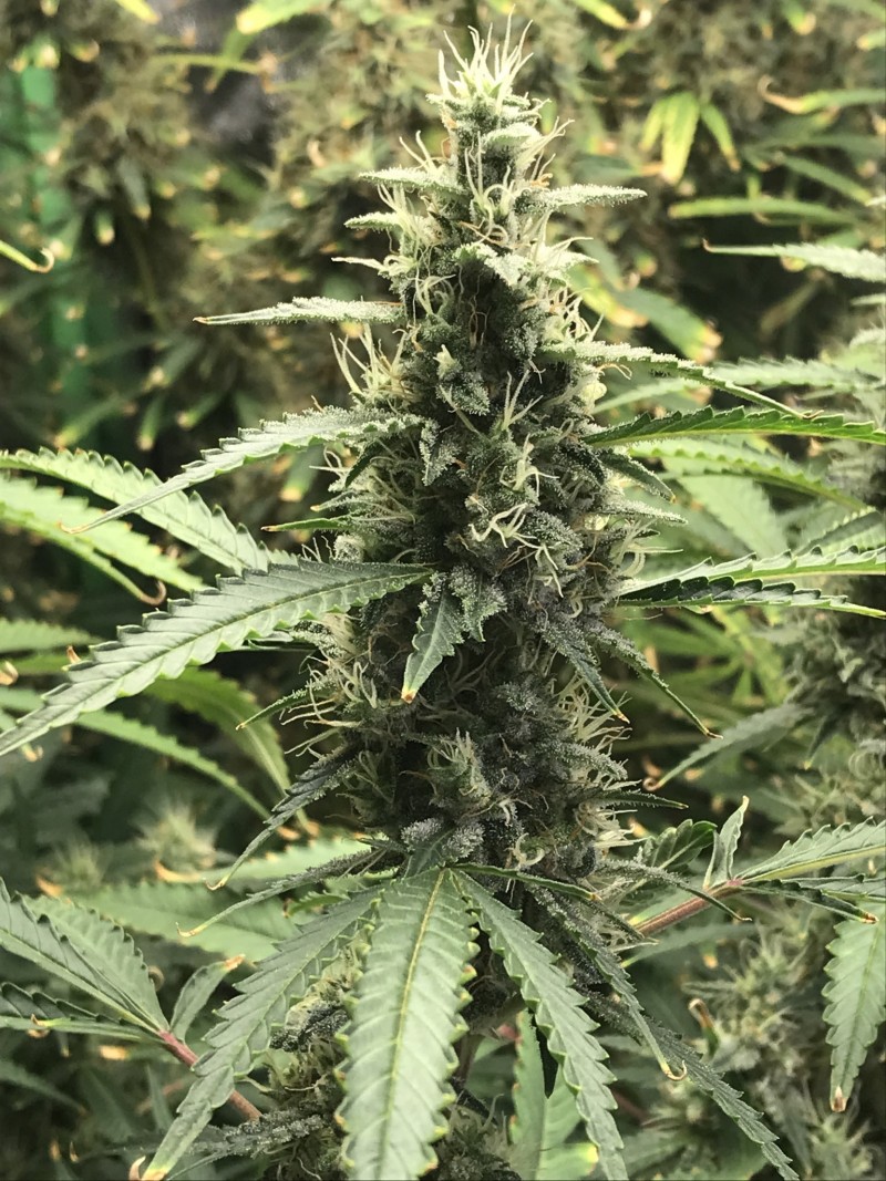 5CE45B7D-8E46-4B97-ACA5-E3C736D579FE