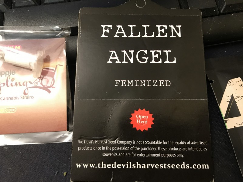 B9E61F44-5E59-43D8-8F81-2066CAB6C30F