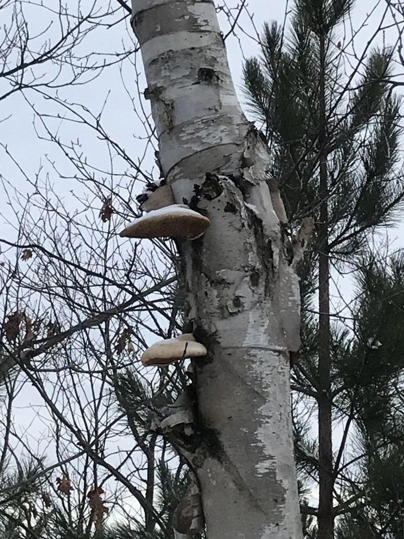 0BCC5372-3BA1-4FA0-9E36-9984FF9A21F2