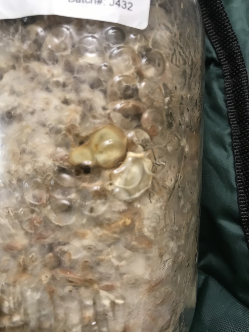 D763BC0D-0C4C-4265-A99D-F1F490A5F818