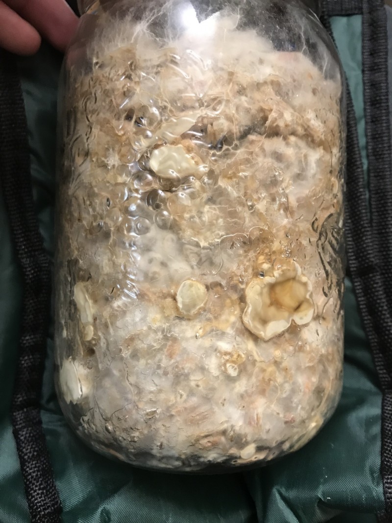 E4D8349E-5E49-44B2-8F81-BC82700C5AB8