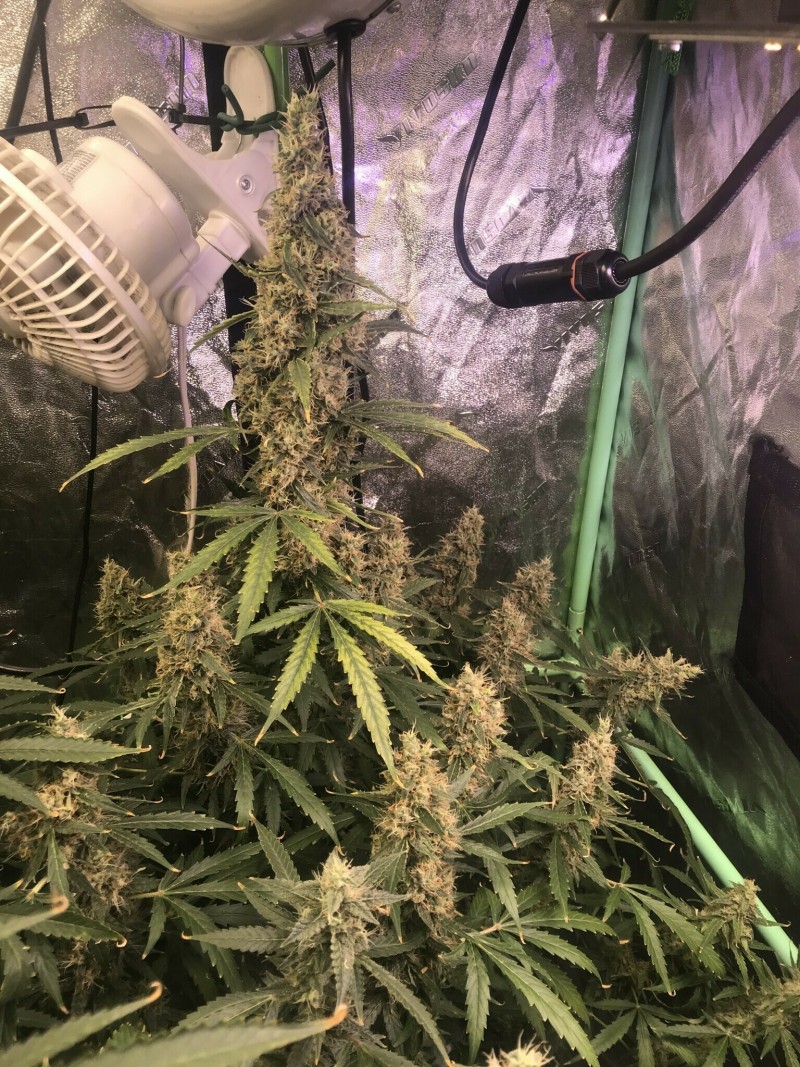 5A15E3E7-58DE-4D92-A0AE-2F9B07CEDA57