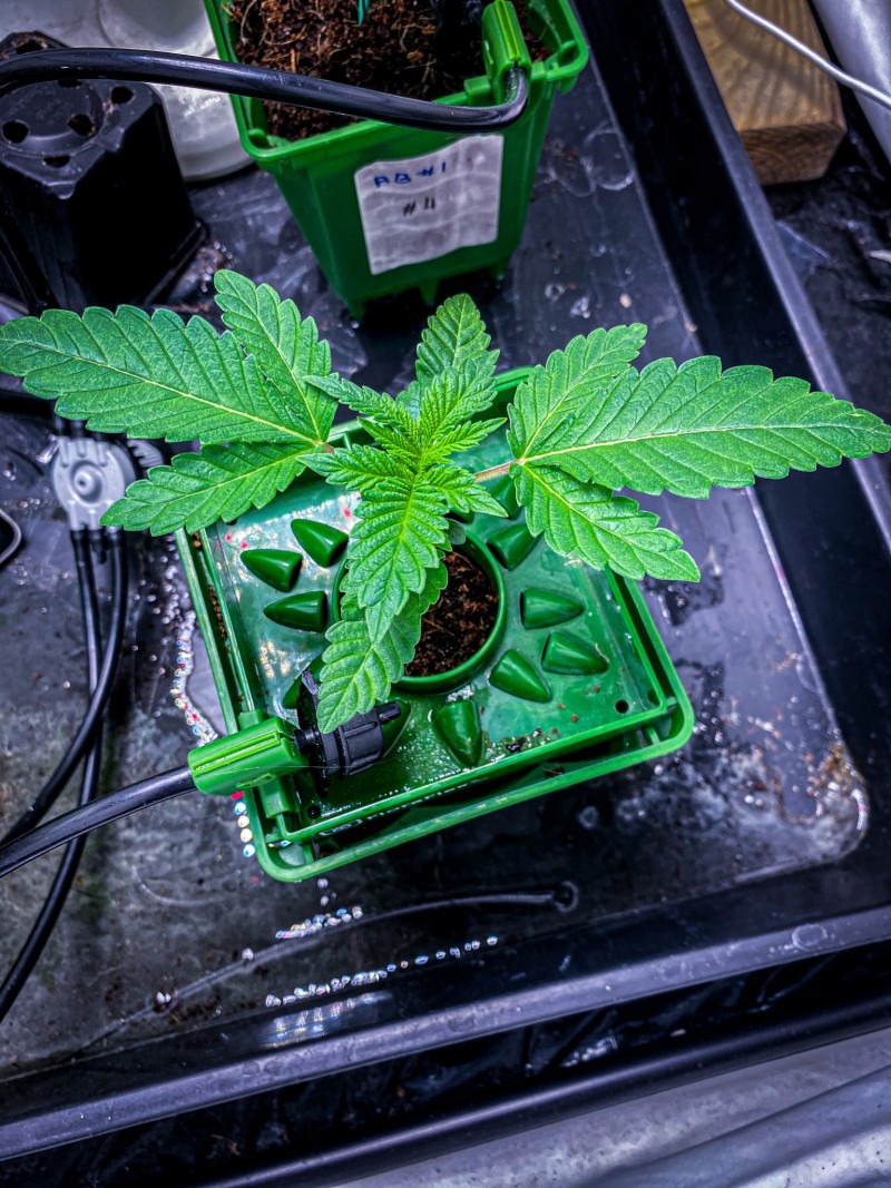 66789F4E-6ED6-4592-AACD-63C886DBB1A8