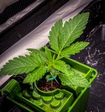 252AB992-DABA-4A6C-B148-AC33F52643D1