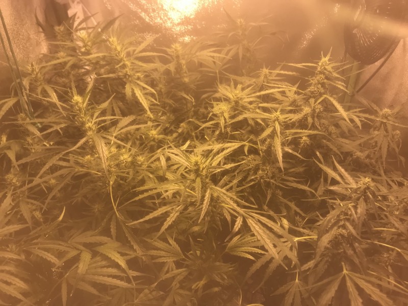 6E455A55-7536-479D-B221-AE4A3D6AFB10