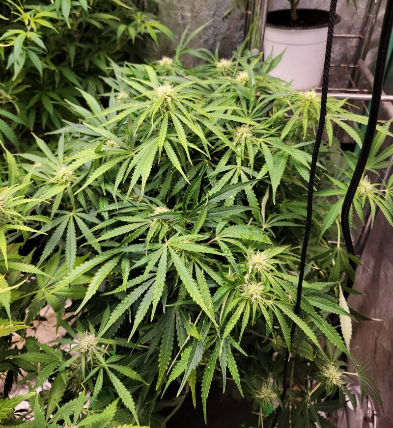 IMG_20220102_223310_835