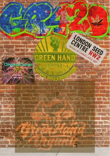 Screenshot 2022-01-03 11.05.15