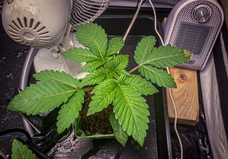 26E24038-FB70-4FB2-8F1F-CD155E2739CA