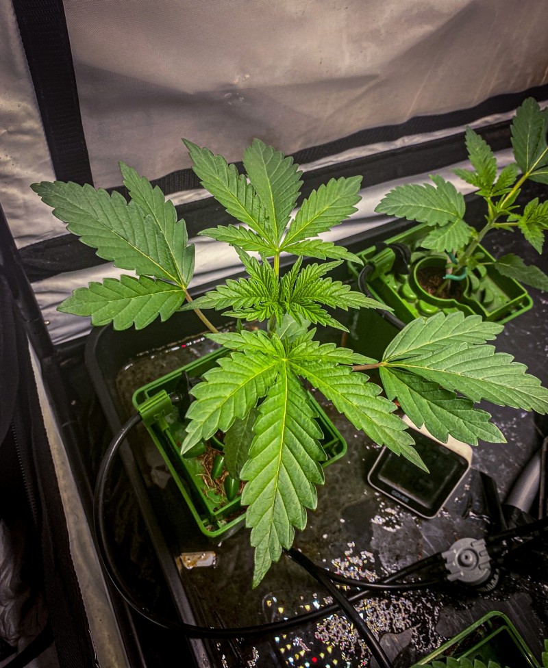 18636A0D-76D0-4BD0-A8C4-0805671176EF