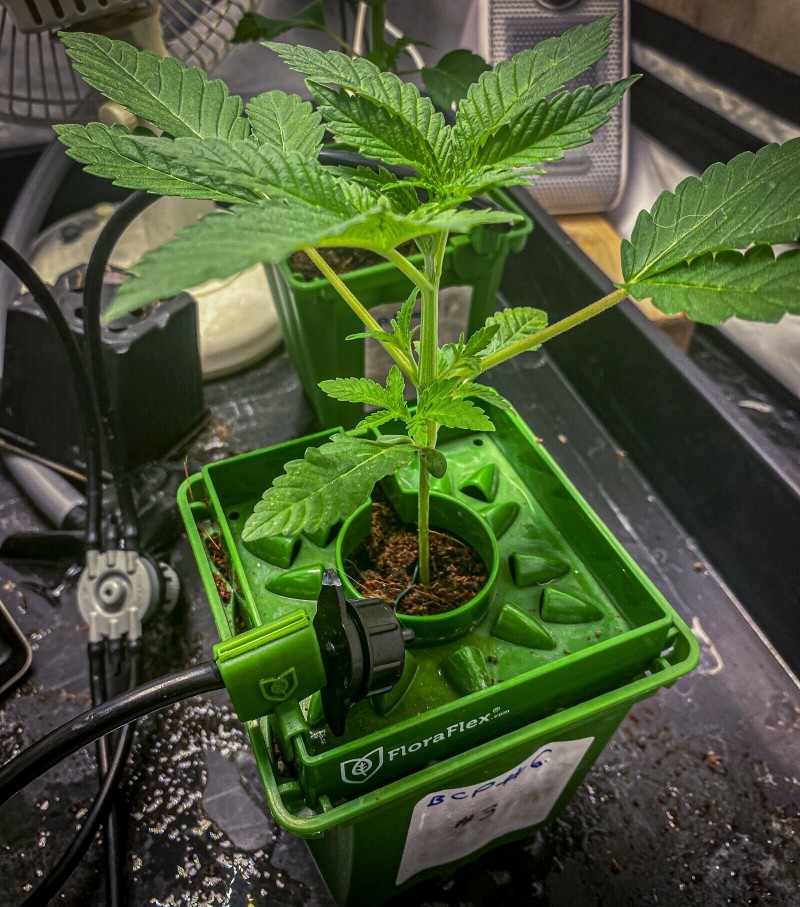 1307C39B-DEF7-476B-B60A-C160A271AF4A