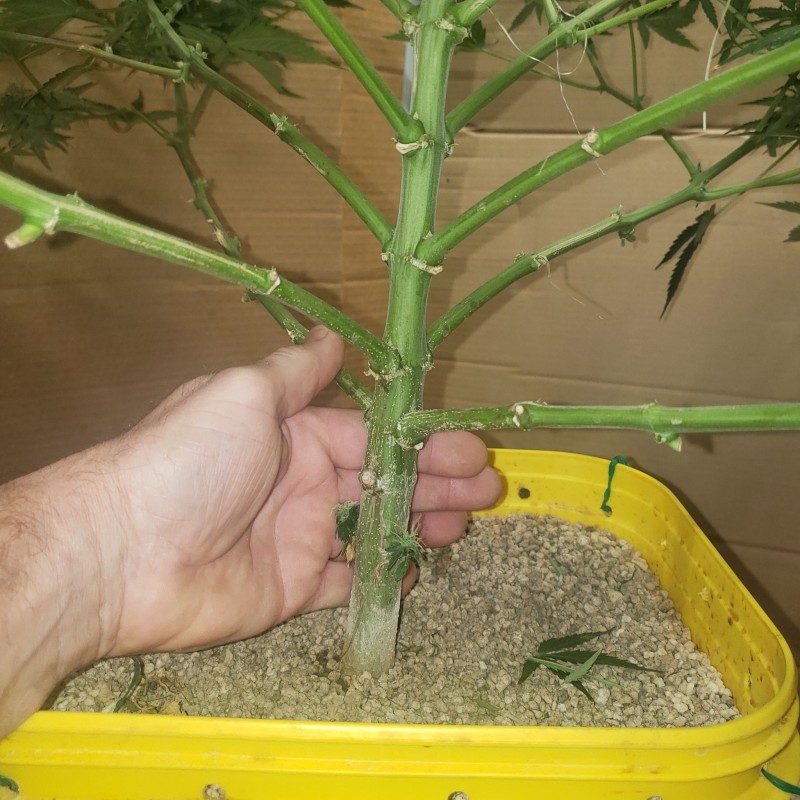 16412382419086123526746635760094