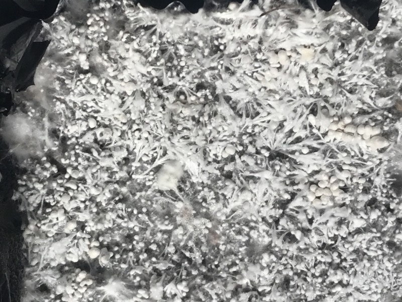 A26C15E0-6053-44EC-BF3F-E55DE017FF11