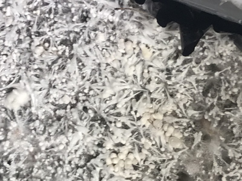 A40315BF-47E5-443A-A954-6263DDE99097