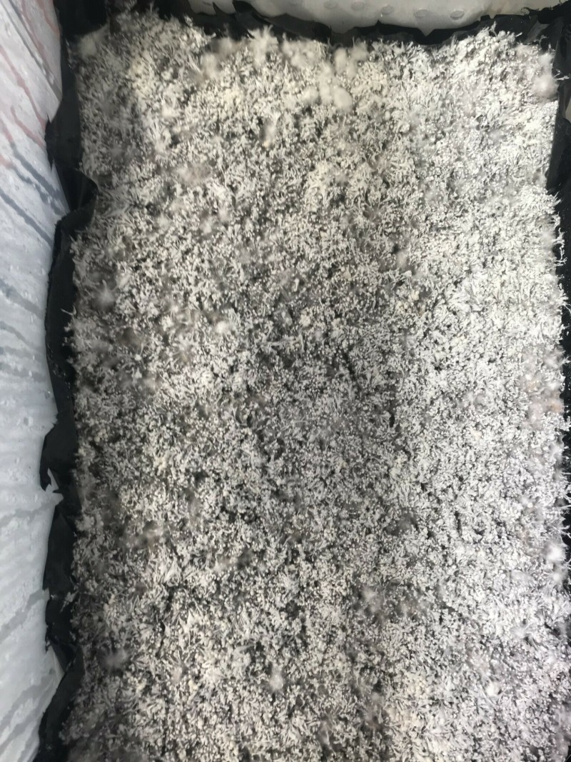 94F0C63A-051F-45BA-9816-DC3B68FCCE26