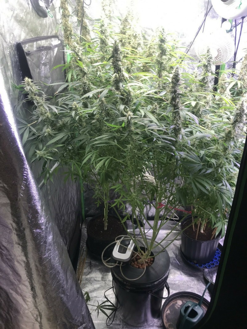 FEAAE73E-35C2-481C-B874-80E5867DC660