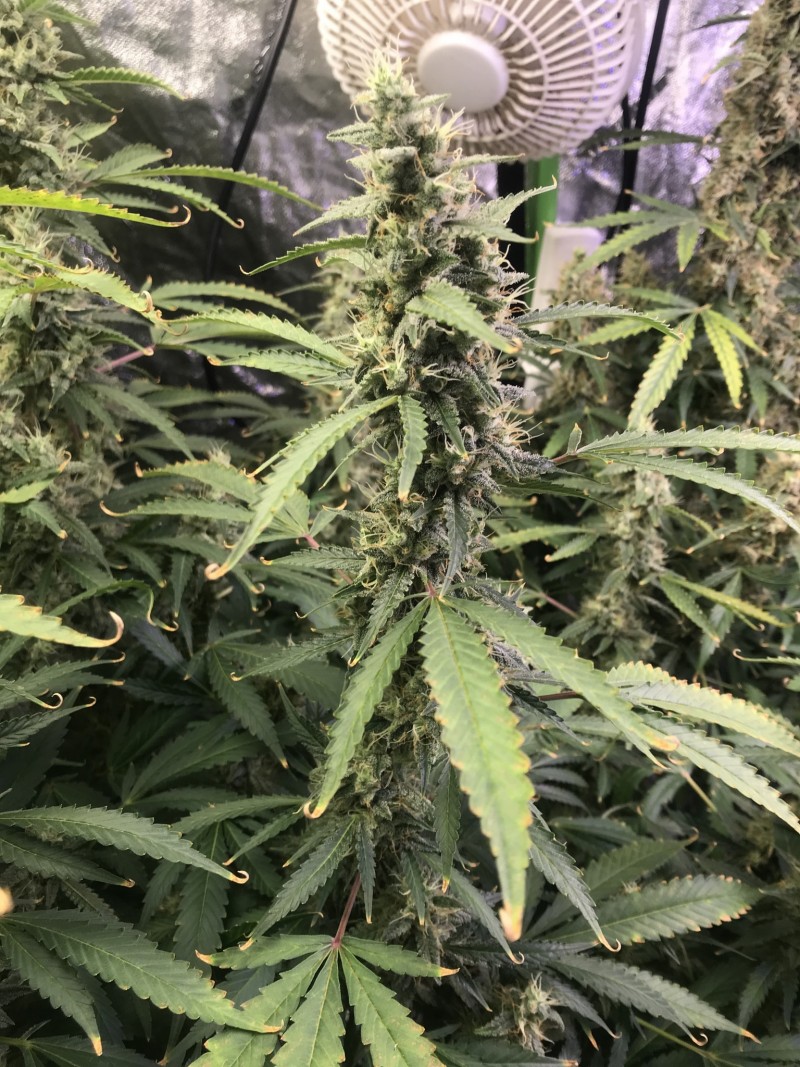 5028B0AB-801D-4153-81FC-3222EC6BA333