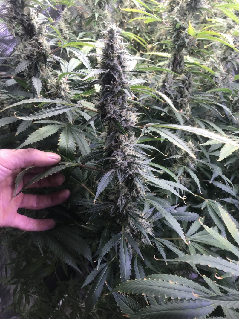 55A72BBC-860C-4F65-888B-34B5C98C65BC