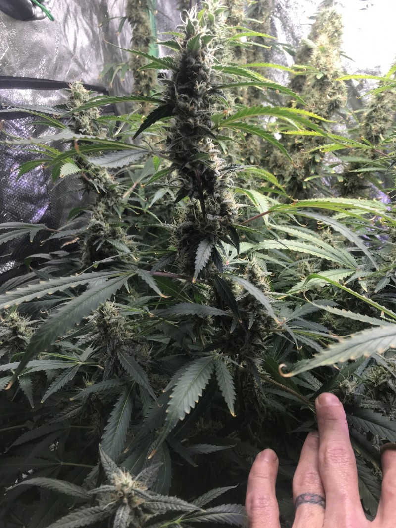 BCEA091B-7696-414B-8983-4608EC99EFBA