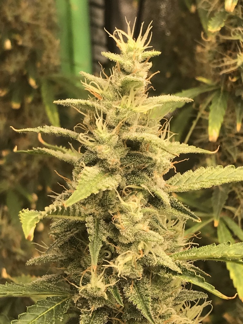 3E18E30A-DF58-46C4-B146-6F3FF6051A19