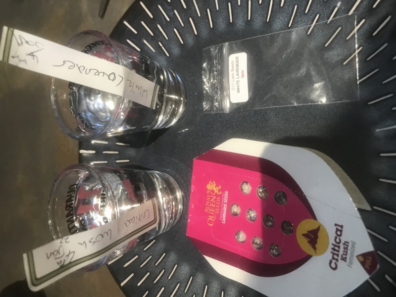 85F46287-A841-4BE5-8B89-5A173C3C5183