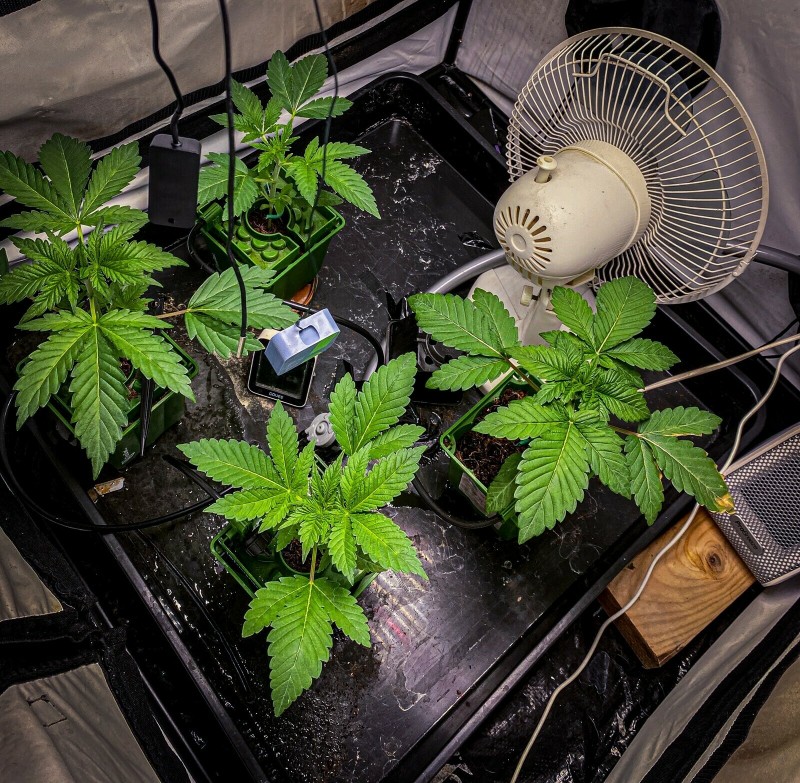 E6295B03-13B7-49E1-B64B-59EE5EEE61A8