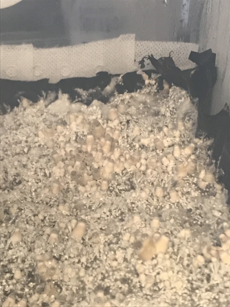 203D93DA-31A4-43F9-B463-1AF593F0F093