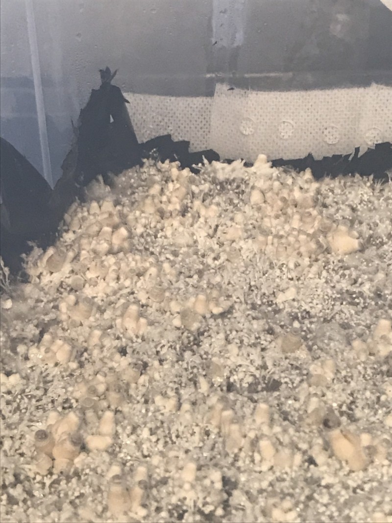 703654C9-651E-42E7-8764-DDC38D73FECC