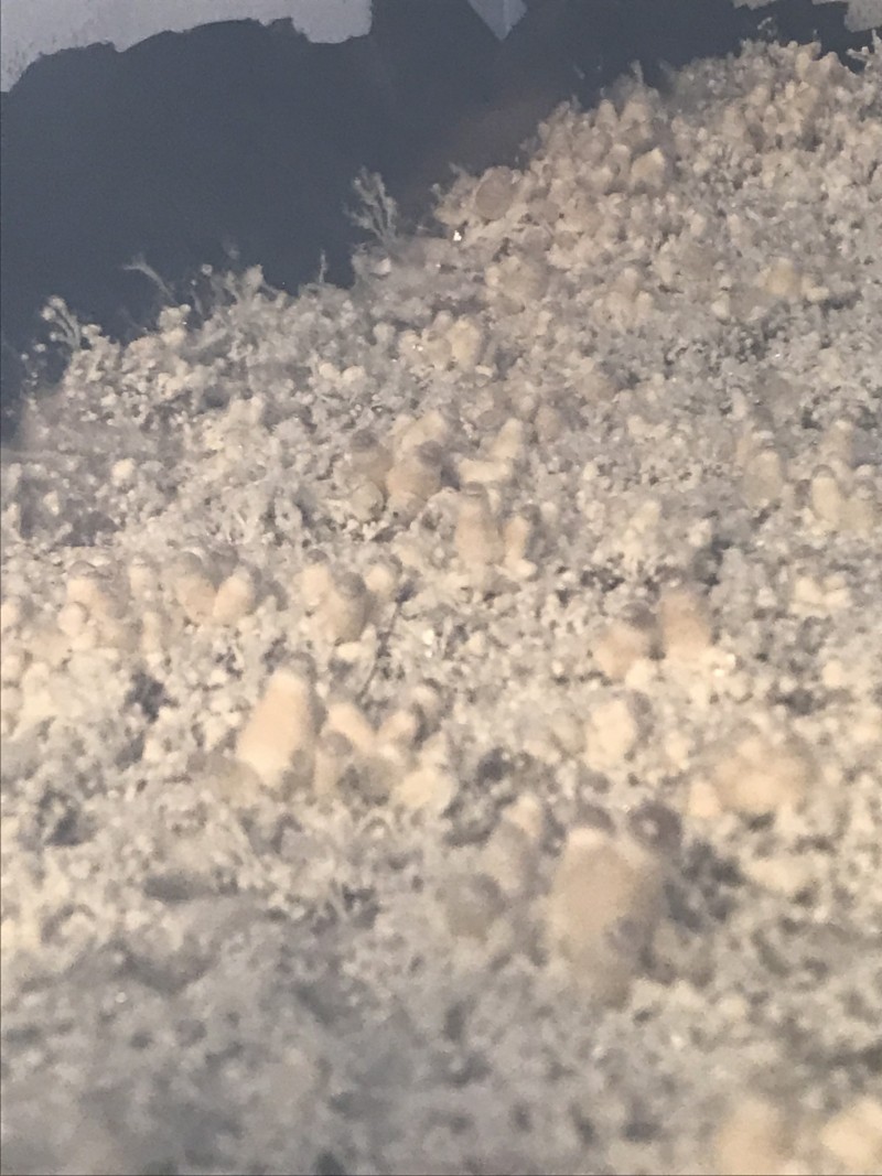 B57E9612-494E-4315-99C8-CD94883F95B0