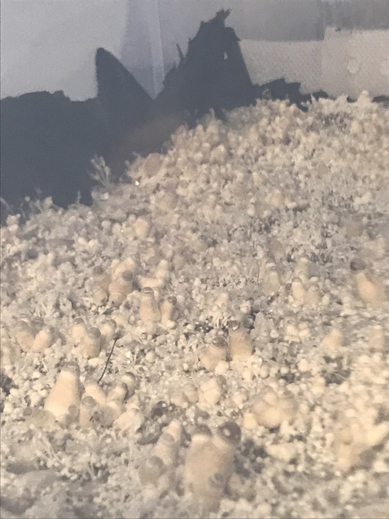 6932C9F3-1234-44B0-B5C8-D88F94903D91