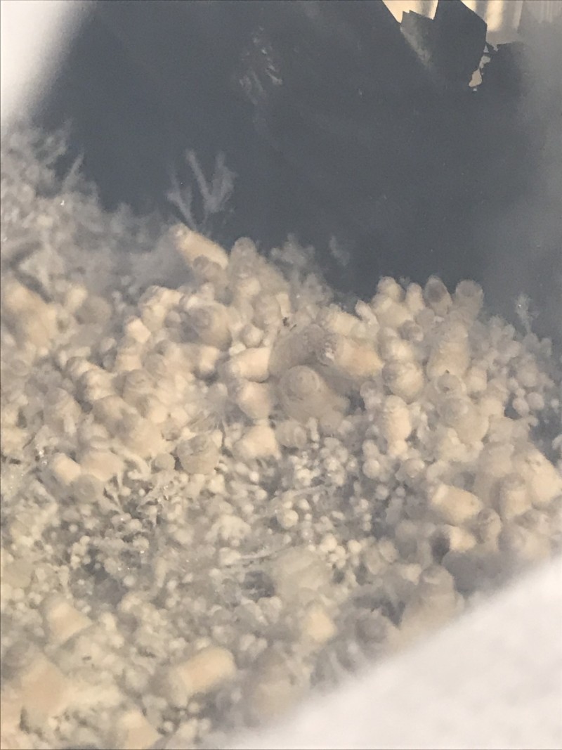 0B8436D5-14AF-442C-BBC0-D90F5174C5EB