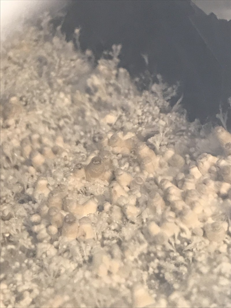 7A9F1205-C91B-4326-9923-1E46B76900D7