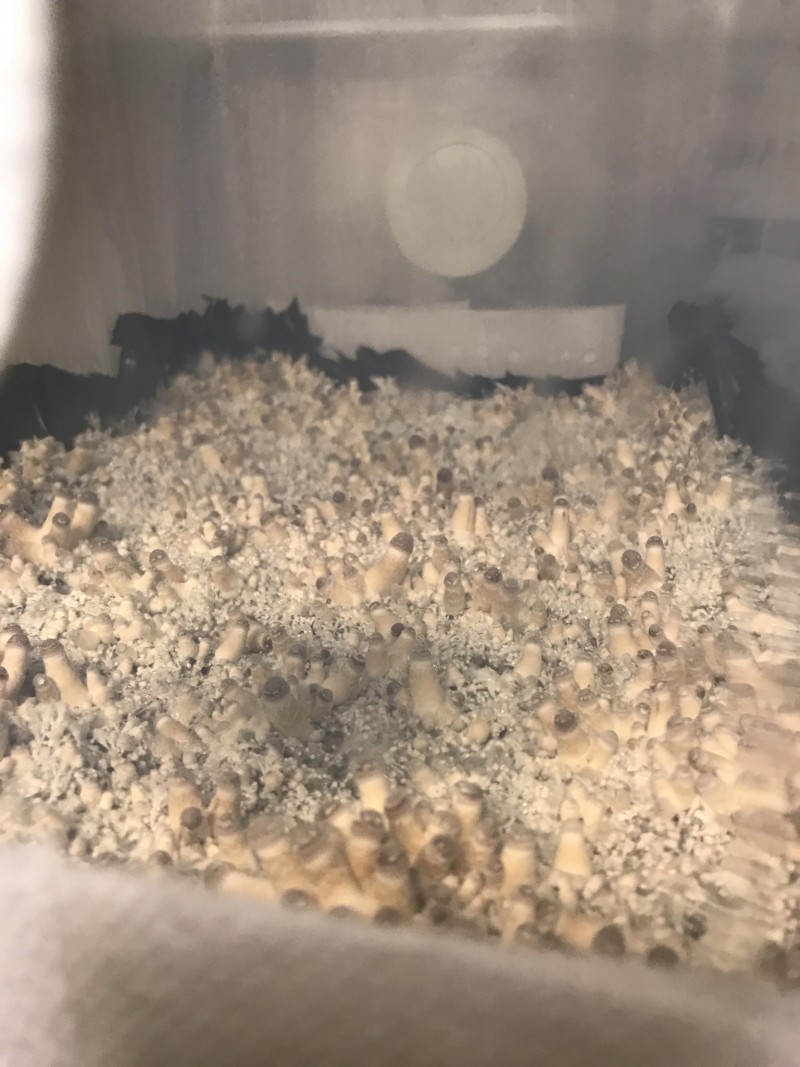 A17A1D54-3D8F-4411-9FC1-F5C6928F78B5