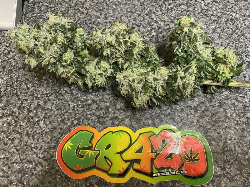 46E02321-3CD2-4031-9915-5DA4E05617EA