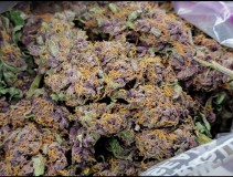 Screenshot_20220105-133150_Photos