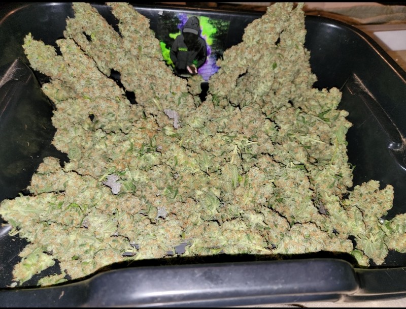 Screenshot_20220105-132723_Photos