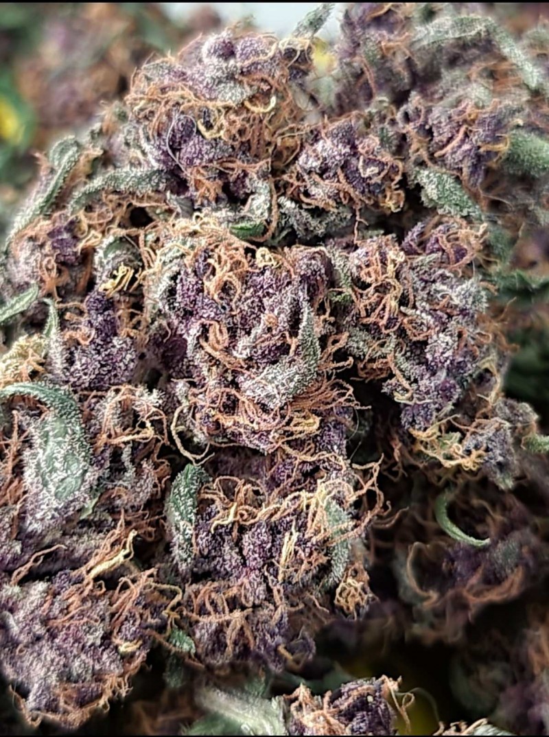 Screenshot_20220105-133126_Photos