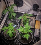 37D85817-50FC-4B39-9BCA-12A128E9FB7F