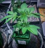 7B3AE33D-324D-4EBE-A69C-BA5FDD46D51C