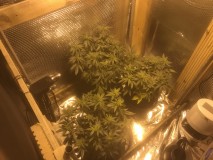 68C15496-09F1-4477-961F-36A27750FB8C