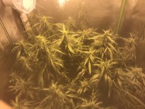 1823D925-23D7-4939-BCEB-A2F81047A323