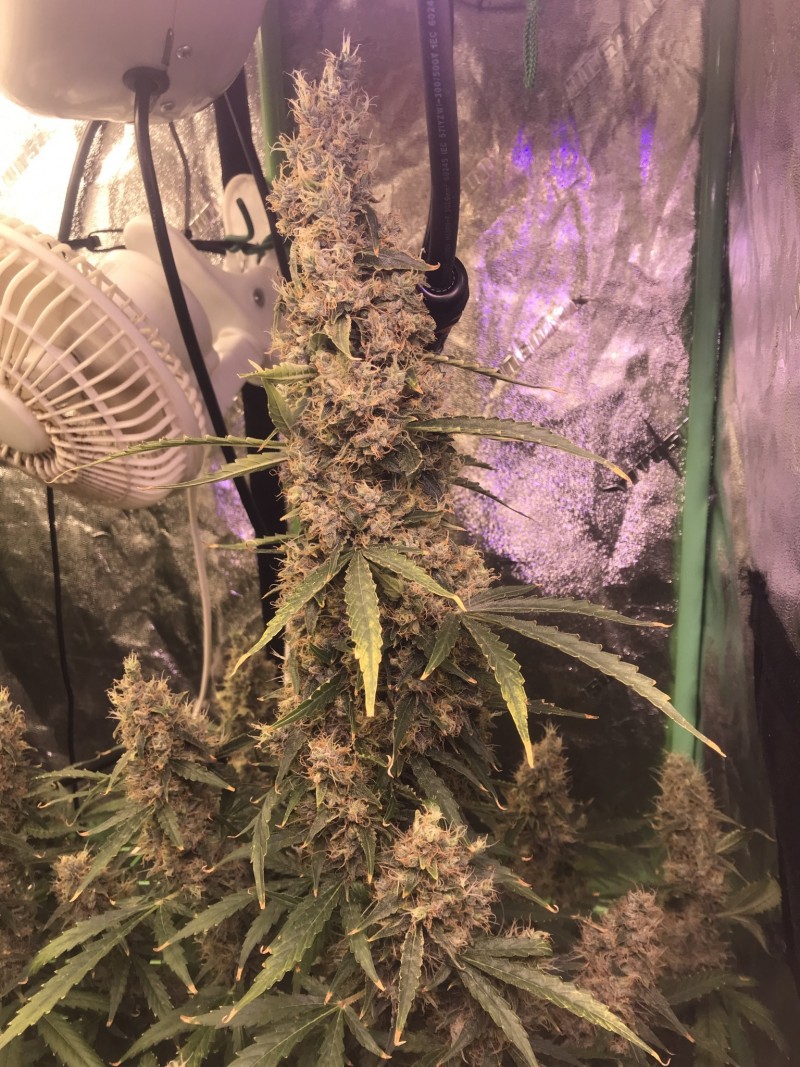 E2317587-ED7E-4F57-B1E2-B288E7CCC81F