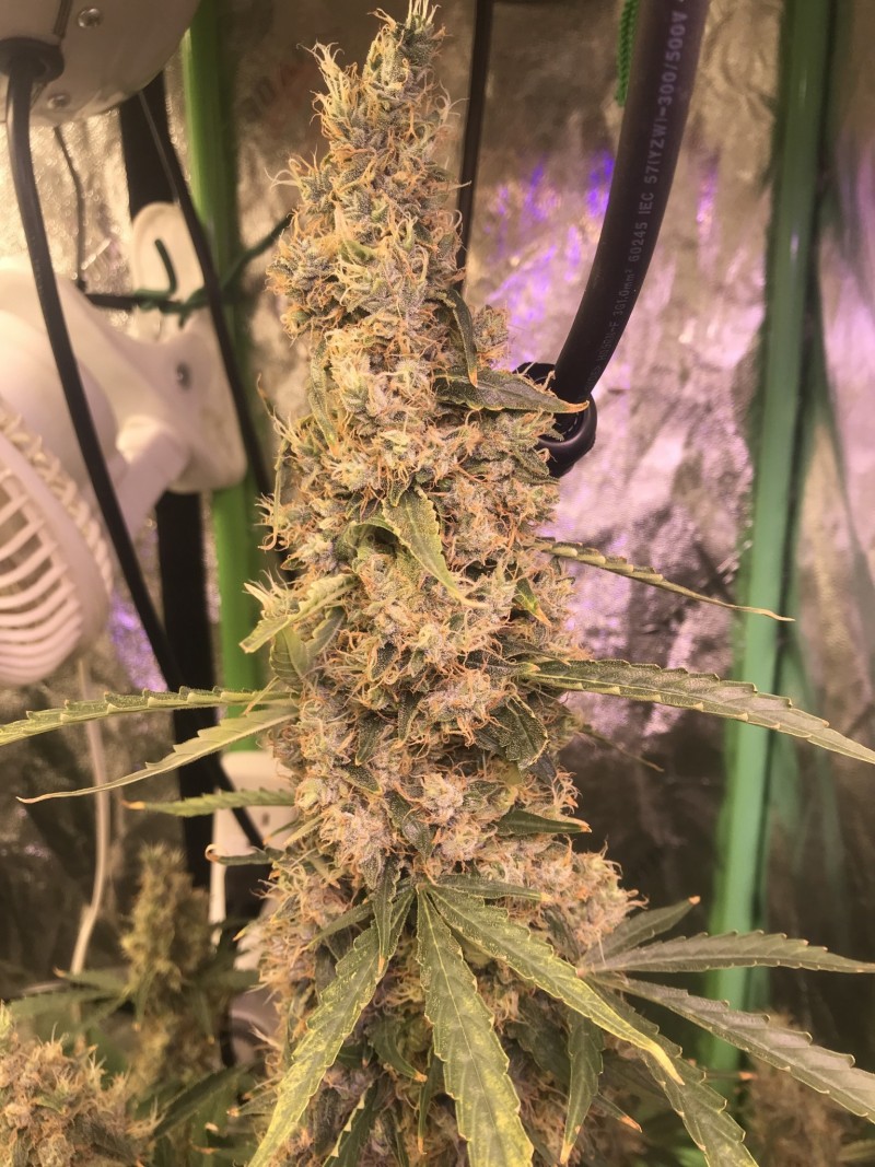 4DD6A6C0-75EC-48CE-BC11-F30C3521188C