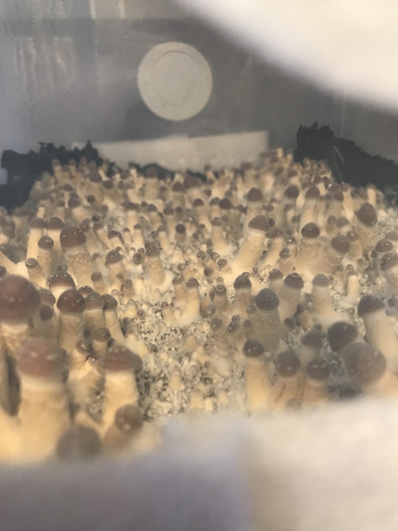 BA11D763-EBD1-4C58-8550-B6EF6A9779A9