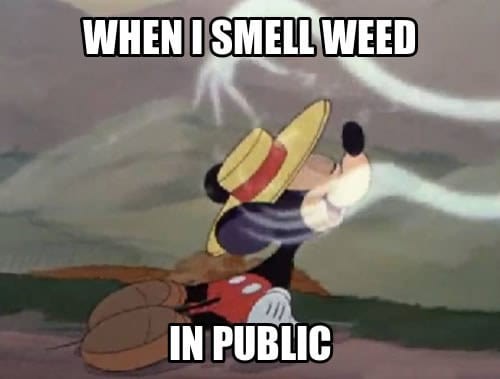 cheerful-Weed-memes